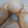 El cooksnap de Lupe Garcia cuando hizo Galletas amaretti.