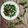 Cooksnap dari Irene MN untuk resep Tumis Sayur Paret/ Selada Air