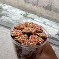 Cooksnap dari Maulidia Denissaputri untuk resep Basic Cookies Cokelat Eggless