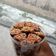 Cooksnap dari Maulidia Denissaputri untuk resep Basic Cookies Cokelat Eggless