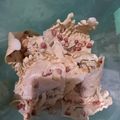 Cooksnap dari ambarwati9 untuk resep Rempeyek kacang tanah renyah