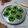 Cooksnap dari Mama fathan untuk resep Kue Cubit