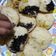 Cooksnap dari Ningsih Addjah untuk resep Terbul mini _ ala bunda Qla