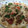 El cooksnap de Sandra cuando hizo Pizza en tortilla de trigo.