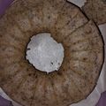 Cooksnap dari Nissa Achmad untuk resep Bolu pisang kukus takaran sendok