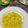 Cooksnap dari Dina Yuandha untuk resep Japanese Kinshi Tamago - Benang Telur Emas