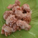 Cooksnap dari dwiratihm untuk resep Udang Mayonaise