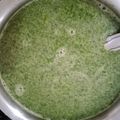 Jayshree Vora's cooksnap of when they made ફુદીના ફલેવર પાણીપુરી નું પાણી(pudina flavour panipuri nu pani in Gujarati).