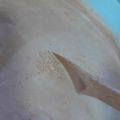 El cooksnap de Victoria Eapindola cuando hizo Arroz con leche.