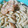 El cooksnap de Elizabeth Perez cuando hizo Camarones en salsa blanca para pasta.