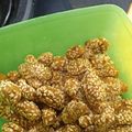 Cooksnap dari Ratih Qomaria untuk resep Kue barotang alias keciput renyah