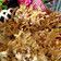 Cooksnap dari ~M&R~ kitchen.. untuk resep Peyek Kacang renyah (tanpa santan) gak bikin gigi sakit