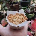 Cooksnap dari Tania Samantha untuk resep APPLE CRUMBLE PIE CAKE no mixer no ribet (#pr_cakenomixer)