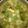 Cooksnap dari ni komang sukasning untuk resep Sayur Asem
