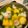 Grace 的 玉米蘿蔔排骨湯 cooksnap