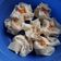 Cooksnap dari Architeni untuk resep Siomay Abang2
