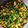 Cooksnap dari glory victory untuk resep Tumis Tempe Bunga Bawang
