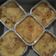Cooksnap dari ima machran untuk resep Macaroni Schotel Panggang