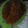 Cooksnap dari Imam Subekhan untuk resep Sambal Tongkol