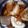 簡單煮 的 蔭瓜滷苦瓜 cooksnap