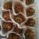 Cooksnap dari Lala ALawiyah untuk resep Bola-bola coklat (bolu bantet) 😆😅