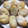 Zsuzsanna Erdős (pancsikonyhaja.blogspot.com) Cooksnap-ja, amikor elkészítette a(z) Mandulás madeleine receptet.