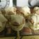 Cooksnap dari Yeni Asyanti untuk resep Bolu Kukus Mekar Semangka (antigagal, praktis, dan ngakak)