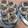 El cooksnap de Rosana Adala cuando hizo Alfajores de maicena muy fáciles.