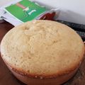 El cooksnap de denisse rodriguez cuando hizo Bizcochuelo de 5 huevos en olla Essen.