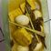 Cooksnap dari Ersa untuk resep Opor tahu telur