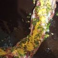 El cooksnap de Maria Fernanda Besel cuando hizo Pechito de cerdo 🐖 con papas rústicas (a mi gusto).