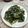 Cooksnap dari Clarissa's Kitchen untuk resep Horenzo Saus Tiram
