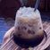 Cooksnap Aznie Khasri semasa beliau membuat Kopi Ais Kaw.