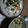 Cooksnap dari Api Bangun untuk resep Sayur sop bening