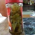 El cooksnap de Santoniche cuando hizo Pencas de acelga al escabeche.