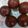 Anju Choubey's cooksnap of when they made Gulab jamun.
