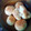 Cooksnap dari sukma_mala untuk resep cheese potato doughnut with oregano