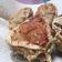 Cooksnap dari Hany Alvania untuk resep Tahu walik, chispy