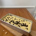 Cooksnap dari jogi untuk resep Proll Roti Tawar Kukus