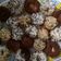 Cooksnap dari ning endang untuk resep BABY DONUTS aka DONAT MINI lembut ALA KHALIMAH KITCHEN'S