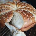 Cooksnap-ul lui Angelica Rössl atunci când a preparat Pâine sârbească.