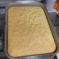 il Mariastella Martucci quando ha preparato Pan di Spagna