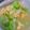黃泯舜 的 絲瓜炒蛋 cooksnap