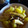 El cooksnap de Mar cuando hizo Sepia con patatas y almejas.