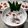 Cooksnap dari Dennisa Icha untuk resep 29.Bubur Ubi Jalar