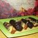 Cooksnap dari Dilla Nurie untuk resep Pukis Banyumas, lembut dan wangi