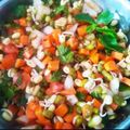 Mansi Patel's cooksnap of when they made સ્પ્રાઉટ વેજીટેબલ સલાડ (Sprout Vegetable Salad Recipe In Gujarati).