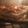 Hadia Anwar 's cooksnap of when they made Chicken club sandwich.
