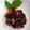 il Patrizia Fregonese quando ha preparato Insalata di riso nero con gamberi, basilico, pomodorini e fagiolini