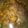 Cooksnap dari Rien Hazky Budavest untuk resep Sapi Goreng